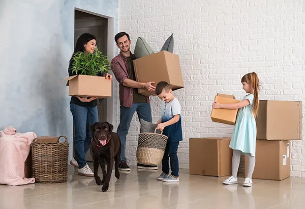 CCTV Sell & Instalation Service